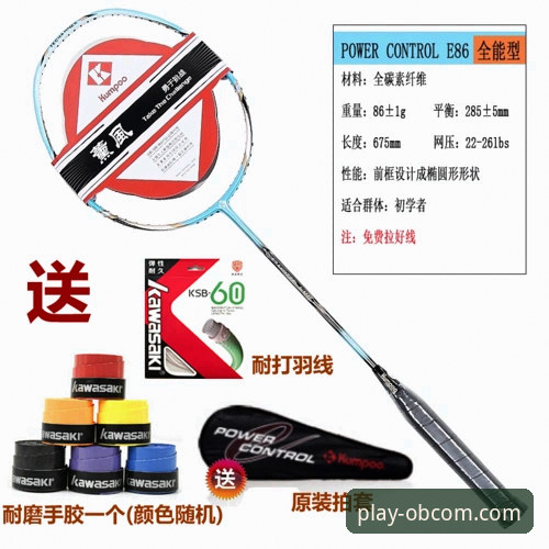 欧博体育平台官网入口 vs 第三方链接：稳定性与安全性的全面对比评测